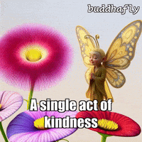 Flower Life GIF by BuddhaFlyJourney