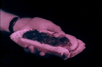 scottok hot dog drive-in intermission snack bar GIF