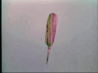 scottok drive-in corn dog intermission snack bar GIF