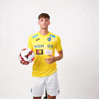 Football Club Celebration GIF by NK Bravo