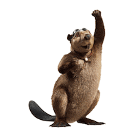 Diy Beaver Sticker by YellaWood