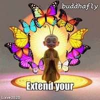 Unity Love GIF by BuddhaFlyJourney