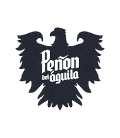 Beer Cerveza Sticker by Peñon del Aguila