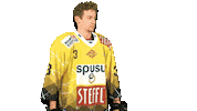 Hockey Caps Sticker by Vienna Capitals