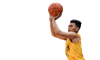 University Mark Sticker by UST Growling Tigers