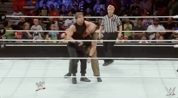 the shield wrestling GIF by WWE