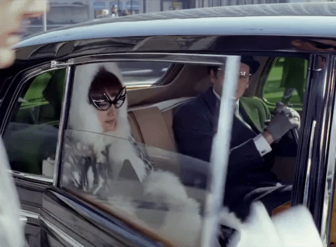 furglamor giphyupload lets go fur fur coat GIF