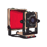 Film Photography Sticker by Intrepid Camera