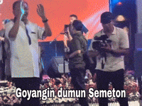 Bali Koster GIF
