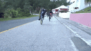 Island Life Wheelie GIF by Bermemes