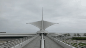 Milwaukee Wisconsin Hashtagmke GIF by JMatt