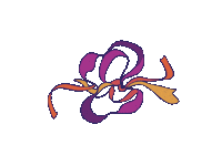 Kkg Sticker by Cercle Celtique de Vannes