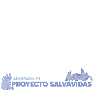 Monterrey Salvar Sticker by Chemisette