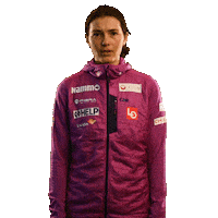 Skijumping Sticker by Hopplandslaget
