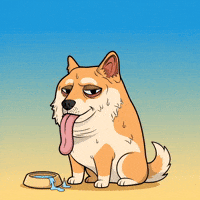 Sweating Shiba Inu GIF by Doge Pound