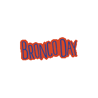 Boise State Summer Sticker by Boise State University