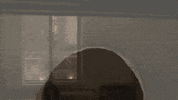 GIF by morray