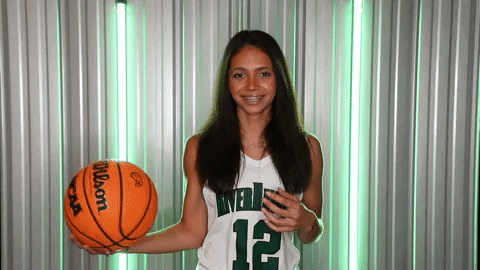 Basketball GIF by RiverHawk Sports