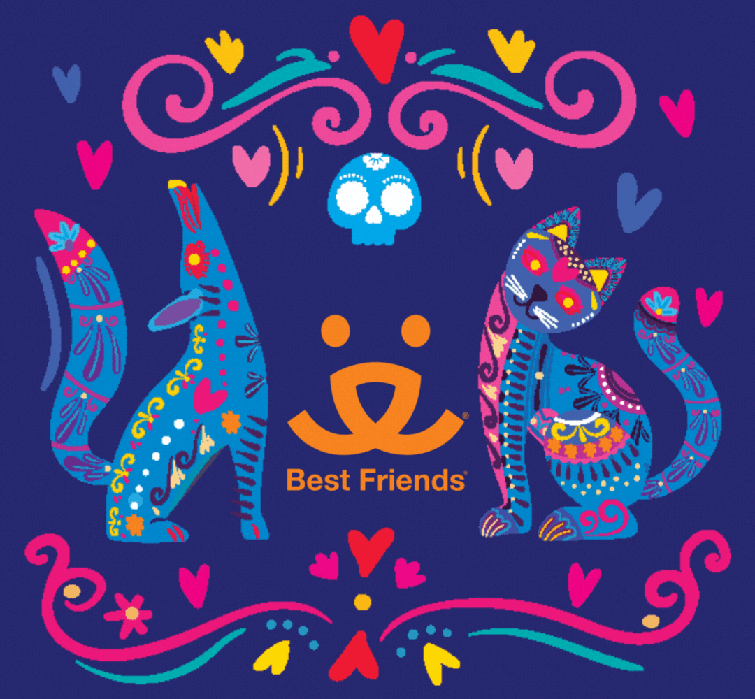 Day Of The Dead Cat GIF by Best Friends Animal Society