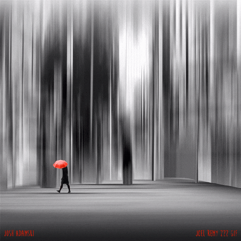 GIF by joelremygif