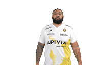 Sport Celebration Sticker by Stade Rochelais