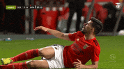 GIF by Sport Lisboa e Benfica