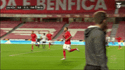 Sl Benfica Point GIF by Sport Lisboa e Benfica
