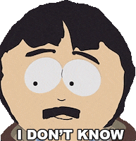Randy Marsh Idk GIF by South Park