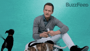 Neil Patrick Harris GIF by BuzzFeed