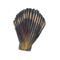 Beach Ocean Sticker by Louise Gouet