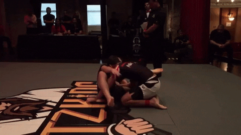 hywelteague giphygifmaker bjj jiujitsu grappling GIF