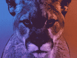 Basketball Lightning GIF by PUMA