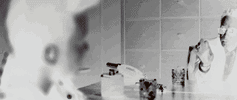 marc anthony GIF by Prince Royce
