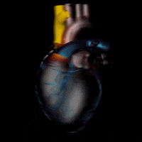 art 3d GIF by G1ft3d