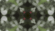 Art Love GIF by jorgemariozuleta