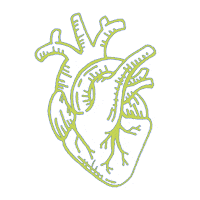 Awaken Watermark Sticker by The Porch