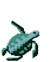 vonJungfeld animal turtle socks schildkrote Sticker