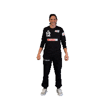 Schweiz Sticker by Swiss Handball