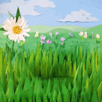 Stop Motion Loop GIF by Mighty Oak