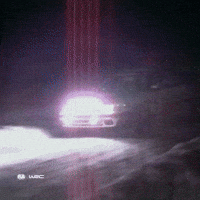 Driving Rally Sweden GIF by FIA World Rally Championship