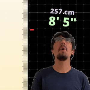 8' 5"