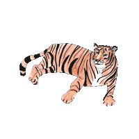 Big Cat Love Sticker by katdrawsit