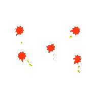25 De Abril 25Abril Sticker by Estúdio Manifesto