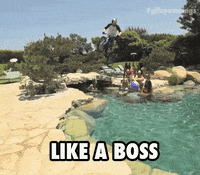 Girls Win GIF by Red Bull