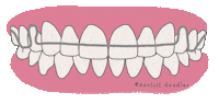 Orthodontics Retainer Sticker