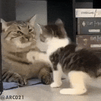 Mother Slap GIF