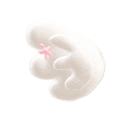 3D Wings Sticker