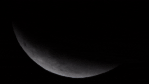 supermoon eclipse GIF by Mashable