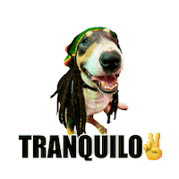 Bull Bali Sticker by Bono Surf Dog