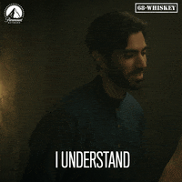 Dw Iunderstand GIF by Paramount Network